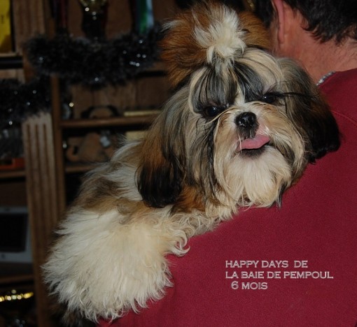 happydays.jpg
