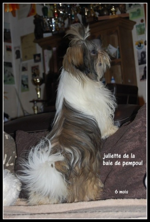 juliette6m 1.jpg