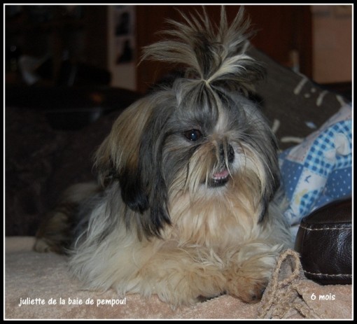 juliette6m 2.jpg
