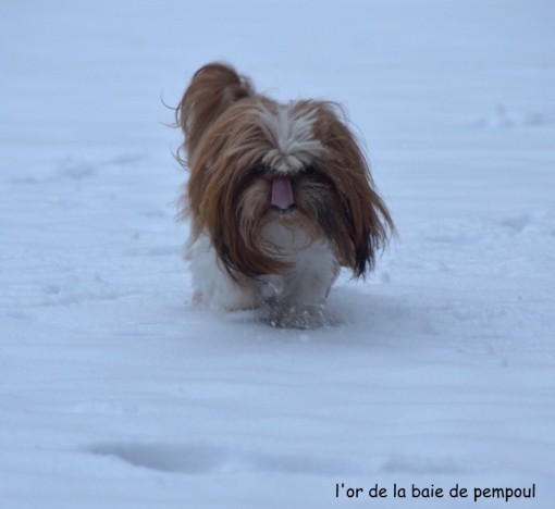 lorneige 1.jpg