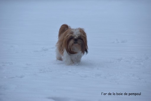 lorneige 2.jpg