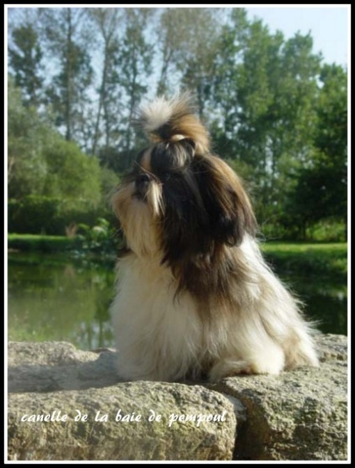 canelle 1.jpg