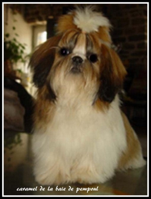 caramel 4.jpg