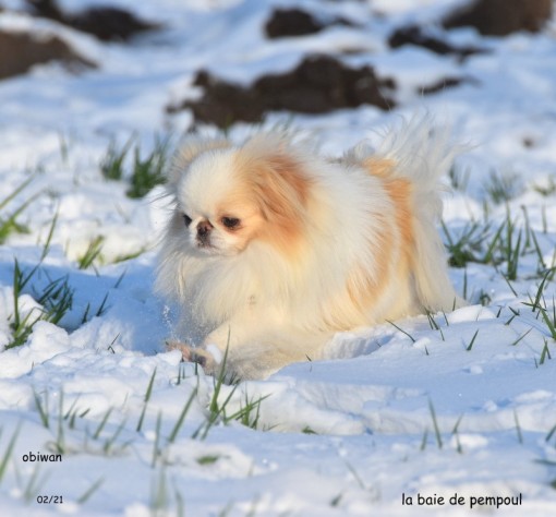 reneige 1.jpg
