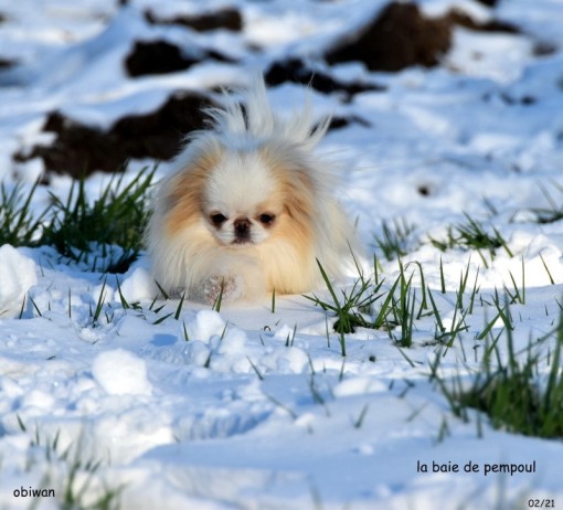reneige 2.jpg