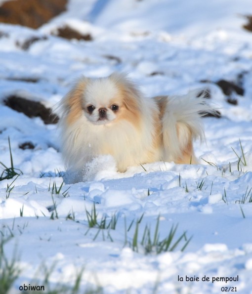 reneige.jpg