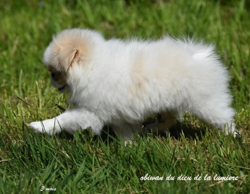 3mois 6.jpg