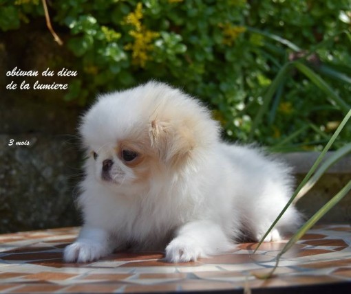 3mois 13.jpg