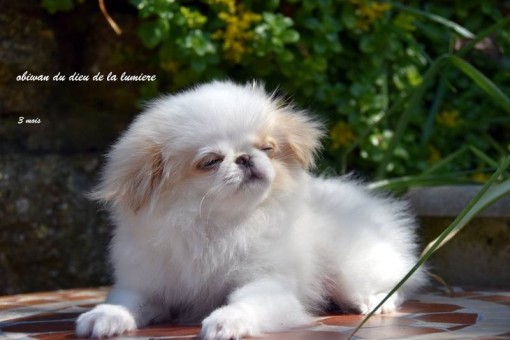 3mois 15.jpg
