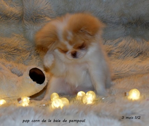 popcorn3m 1.jpg
