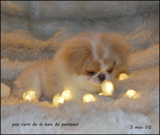 popcorn3m 5.jpg