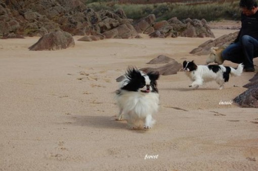 z_20131019-182813-66403.JPG