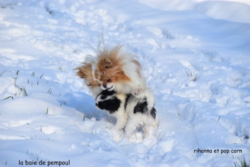 rihanna-neige 9.jpg