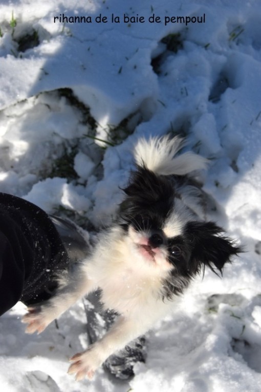 rihanna-neige.jpg