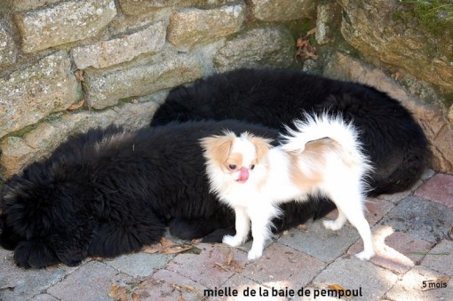 mielle5m 2.jpg