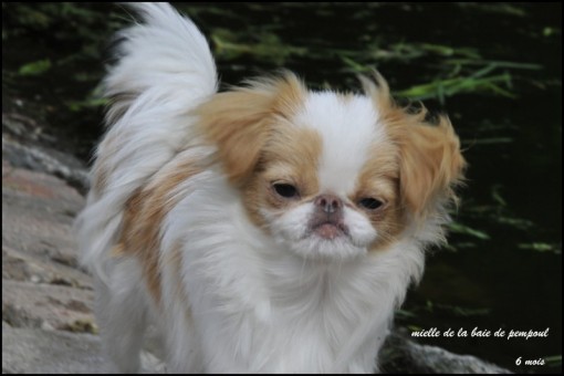mielle6m 2.jpg
