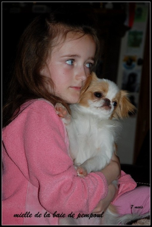 mielle7m 1.jpg