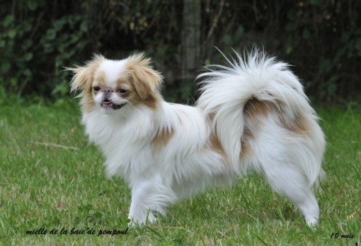 mielle10m 2.jpg