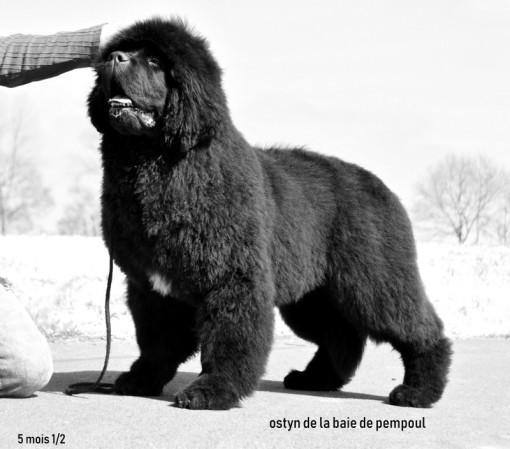 5mois 2.jpg