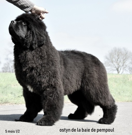 5mois 9.jpg