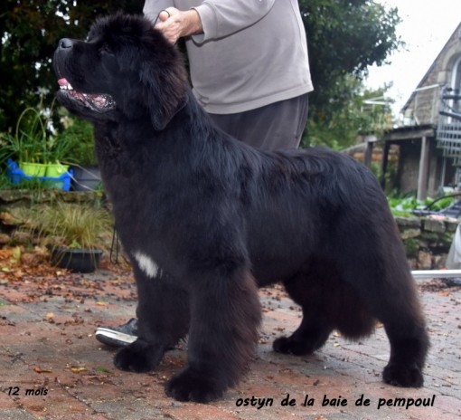 ostyn12m 2.jpg