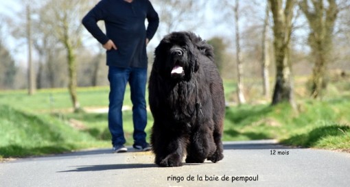 12mois 1.jpg