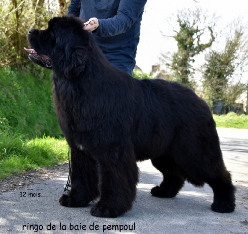12mois 6.jpg