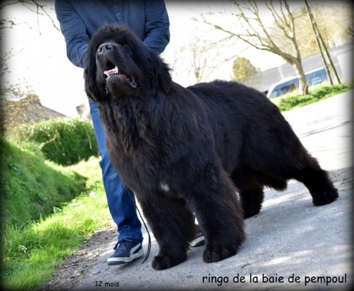 12mois 7.jpg