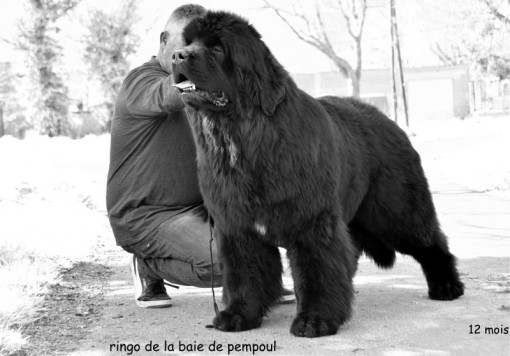 12mois 9.jpg