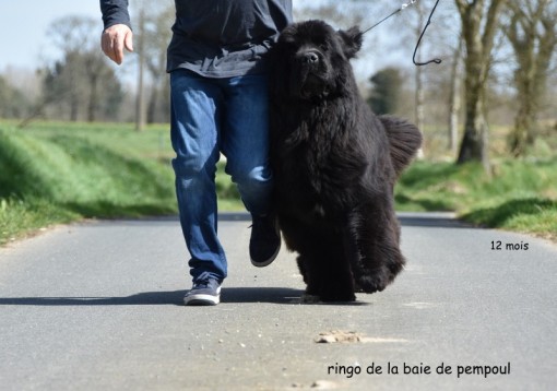 12mois 10.jpg