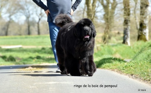 12mois 13.jpg