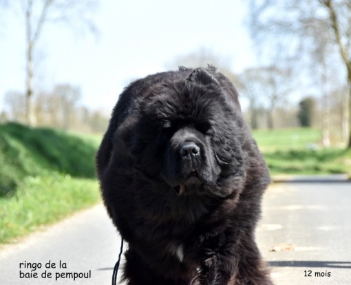 12mois 15.jpg