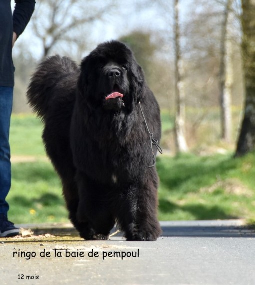 12mois 16.jpg