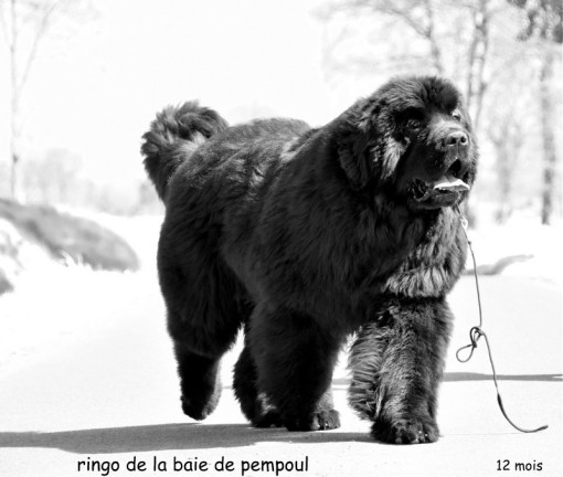 12mois 19.jpg