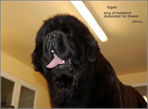 logan 32.jpg