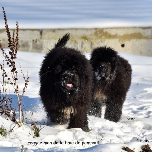 les2neige 1.jpg