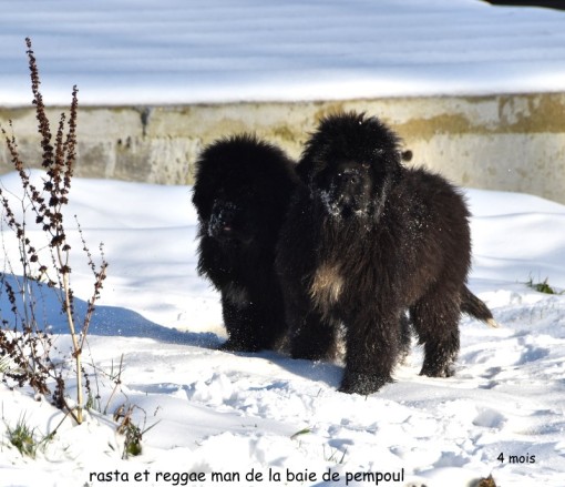 les2neige 3.jpg