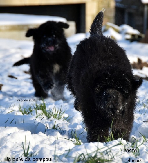 les2neige 6.jpg