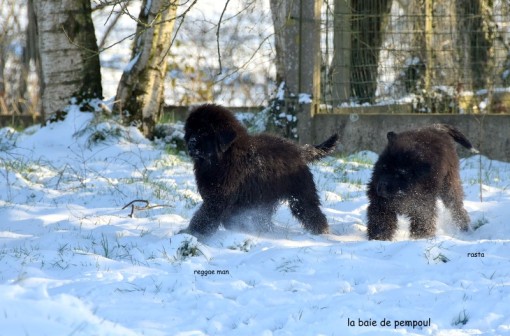 les2neige 7.jpg