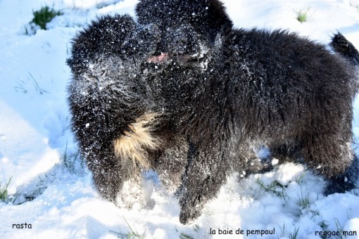 les2neige 8.jpg