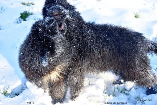 les2neige 9.jpg