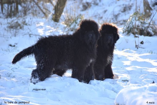 les2neige 12.jpg
