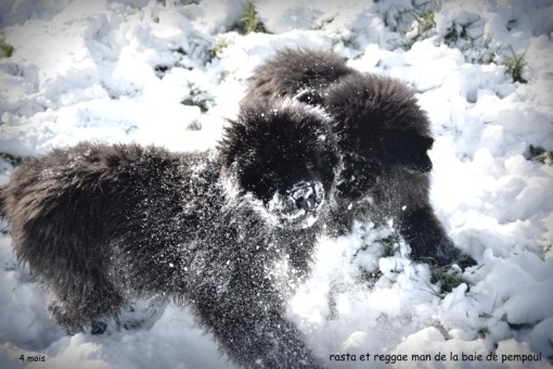 les2neige.jpg