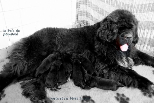 rasta3jours 5.jpg
