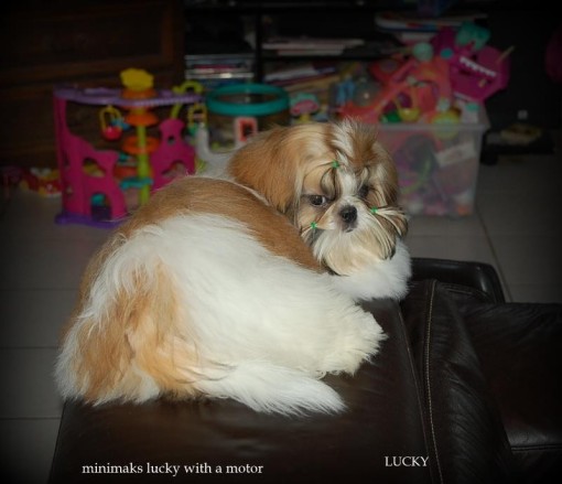 loucky 17.jpg