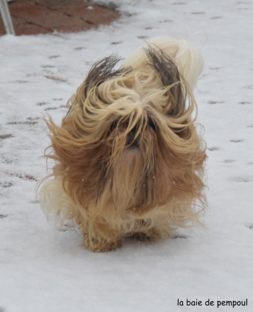louckyneige 2.jpg