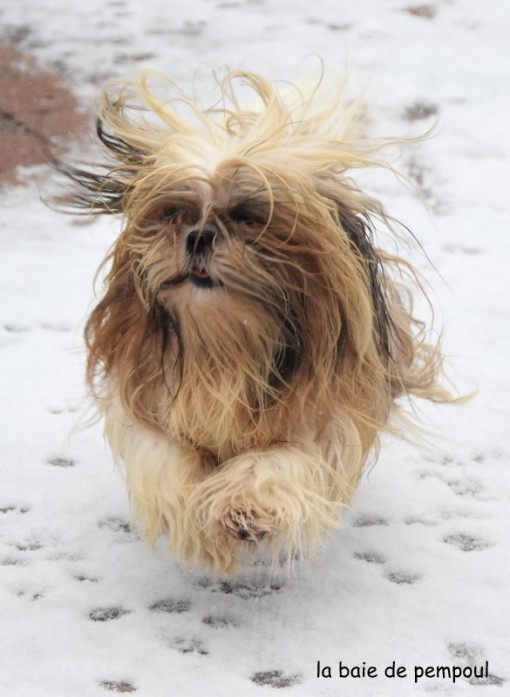 louckyneige 3.jpg